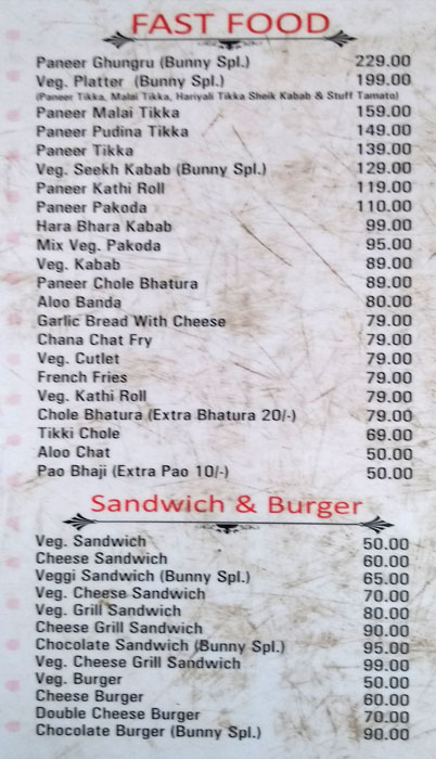 The Big Bunny - Adarsh Nagar - Ajmer image 10