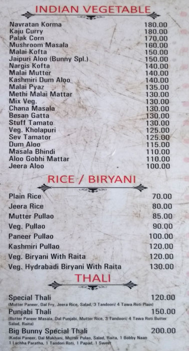 The Big Bunny - Adarsh Nagar - Ajmer image 7