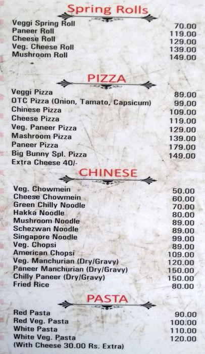 The Big Bunny - Adarsh Nagar - Ajmer image 4