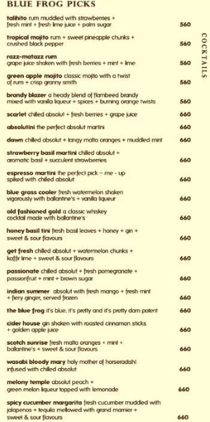 The Blue Frog - Yerawada - Pune image 13