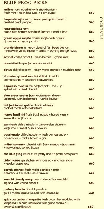 The Blue Frog - Yerawada - Pune image 1