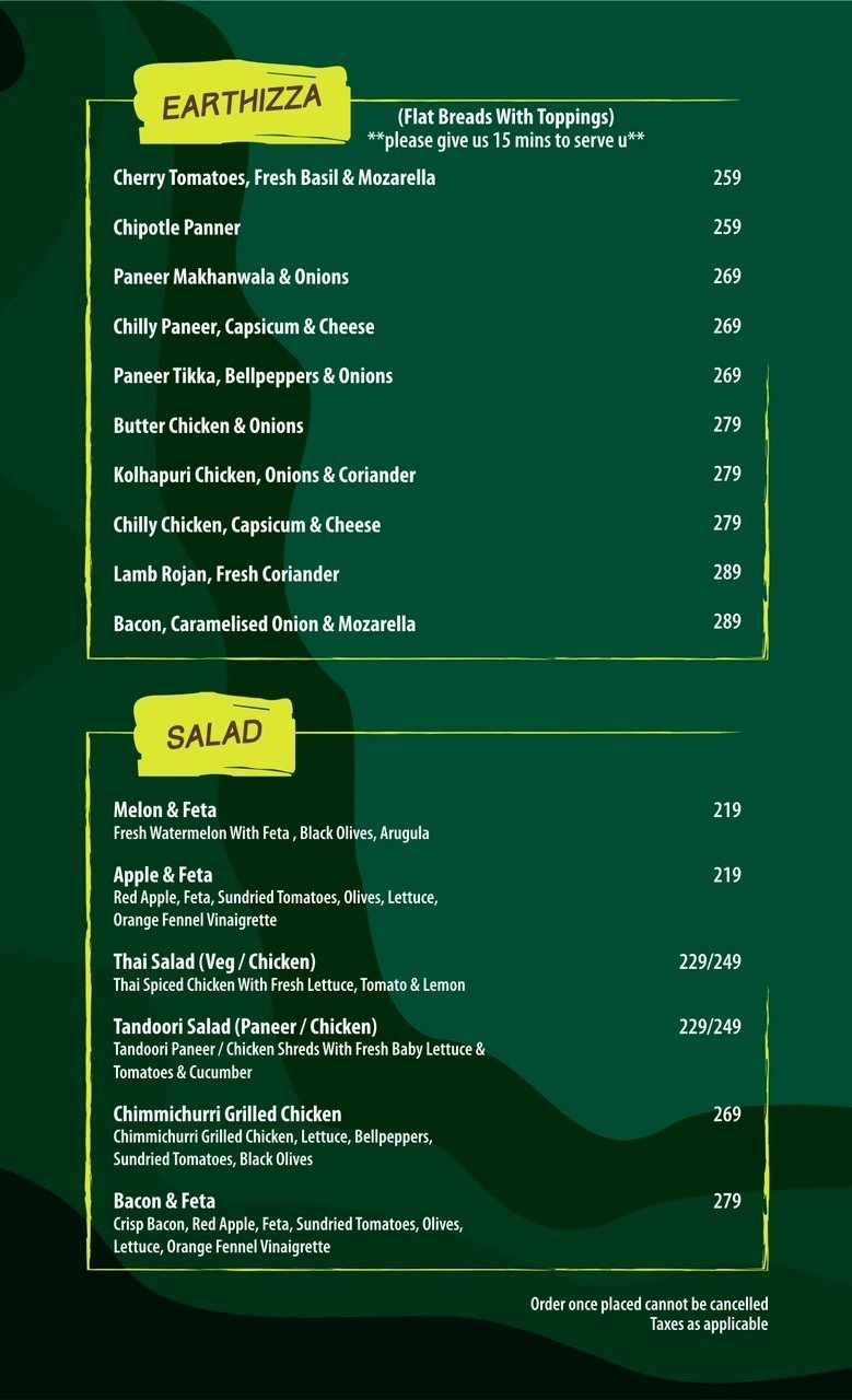 The Earth Cafe - Koregaon Park - Pune image 14