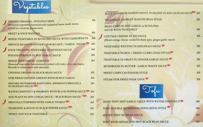 The Golden Dragon - Rajouri Garden - Delhi NCR image 3