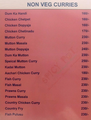 The Spicy Pot - Kondapur - Hyderabad image 7