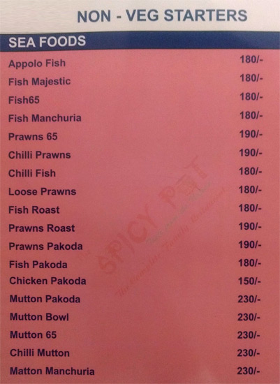 The Spicy Pot - Kondapur - Hyderabad image 11