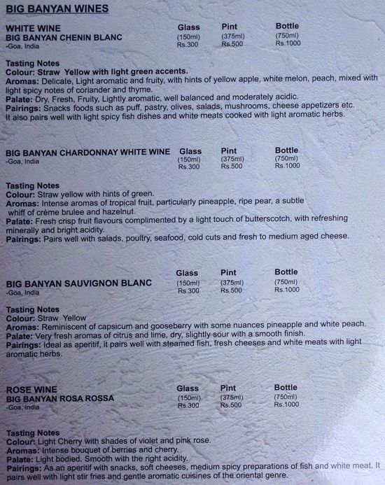 The Stone House - Condolim - Goa image 6