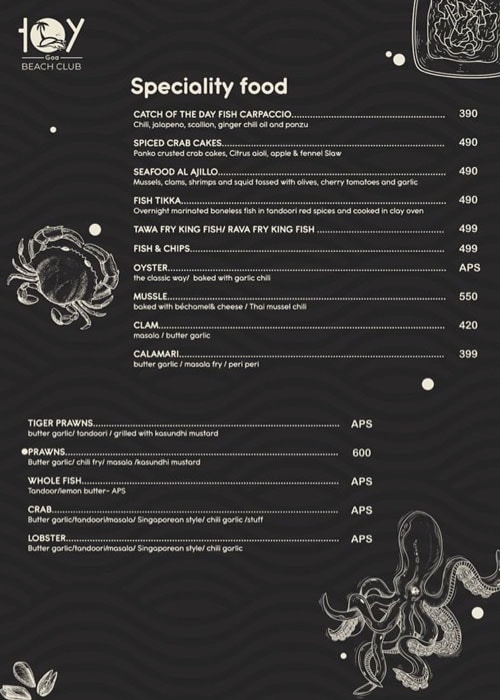 Toy Beach Club - Candolim - Goa image 10