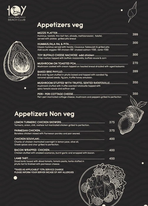 Toy Beach Club - Candolim - Goa image 18