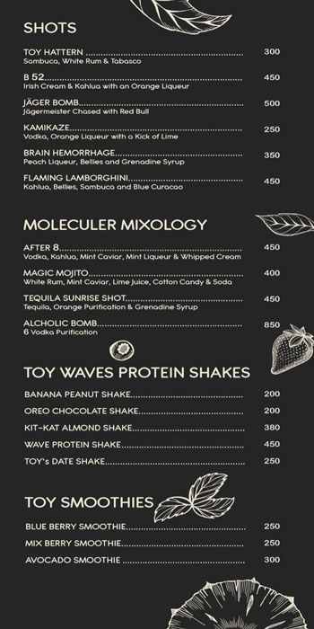 Toy Beach Club - Candolim - Goa image 7