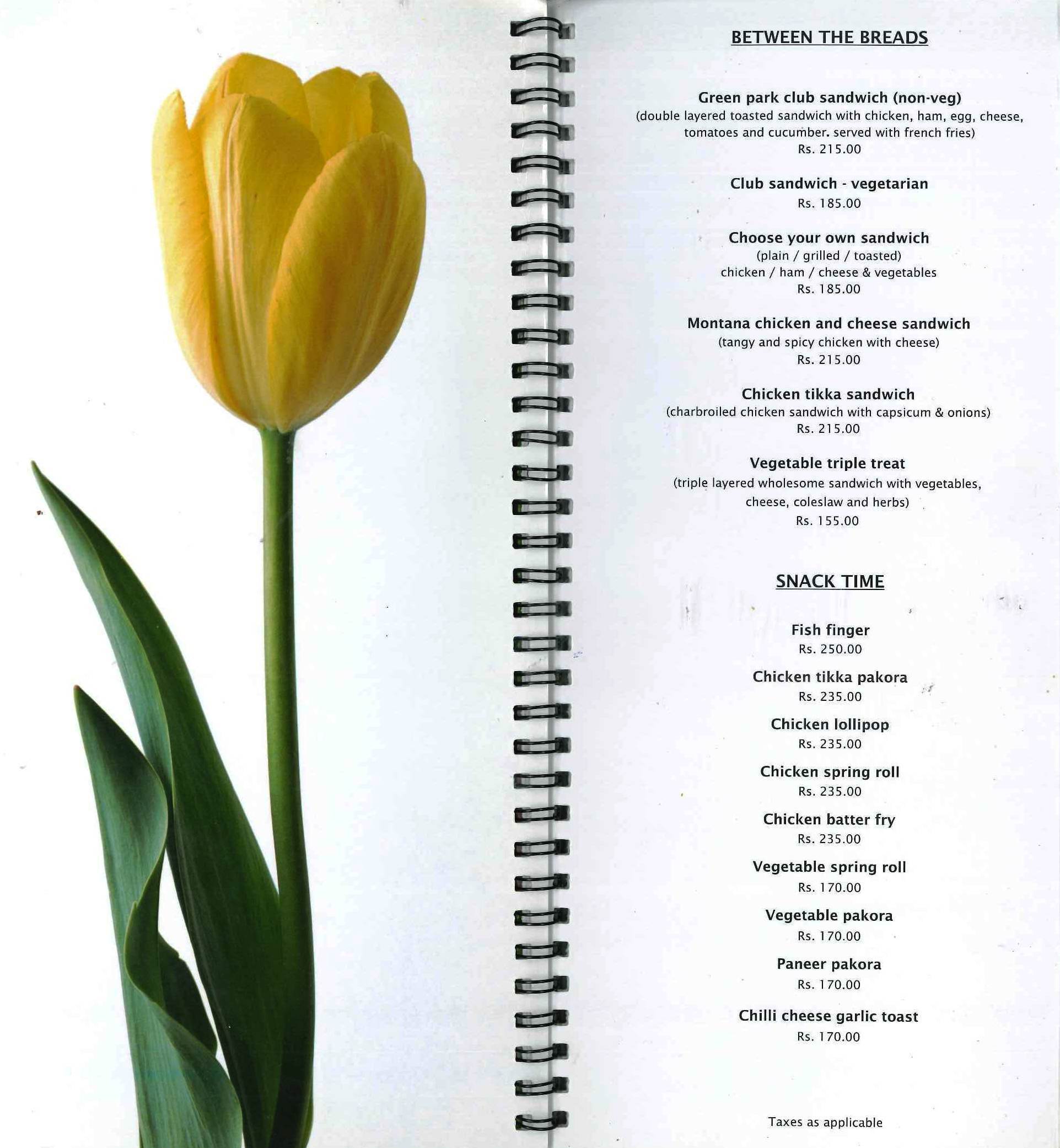 Tulips - Begumpet - Hyderabad image 13