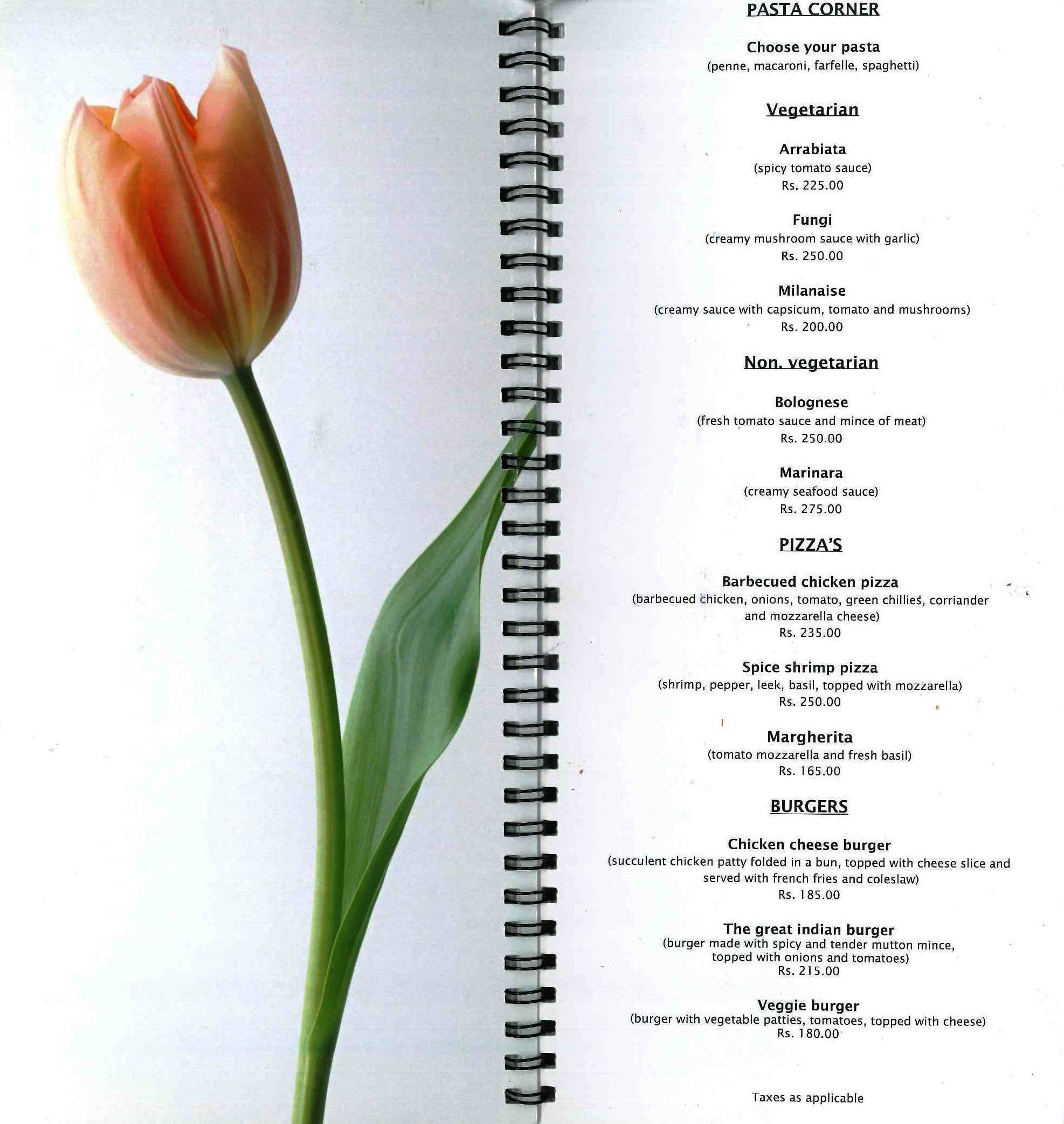 Tulips - Begumpet - Hyderabad image 14