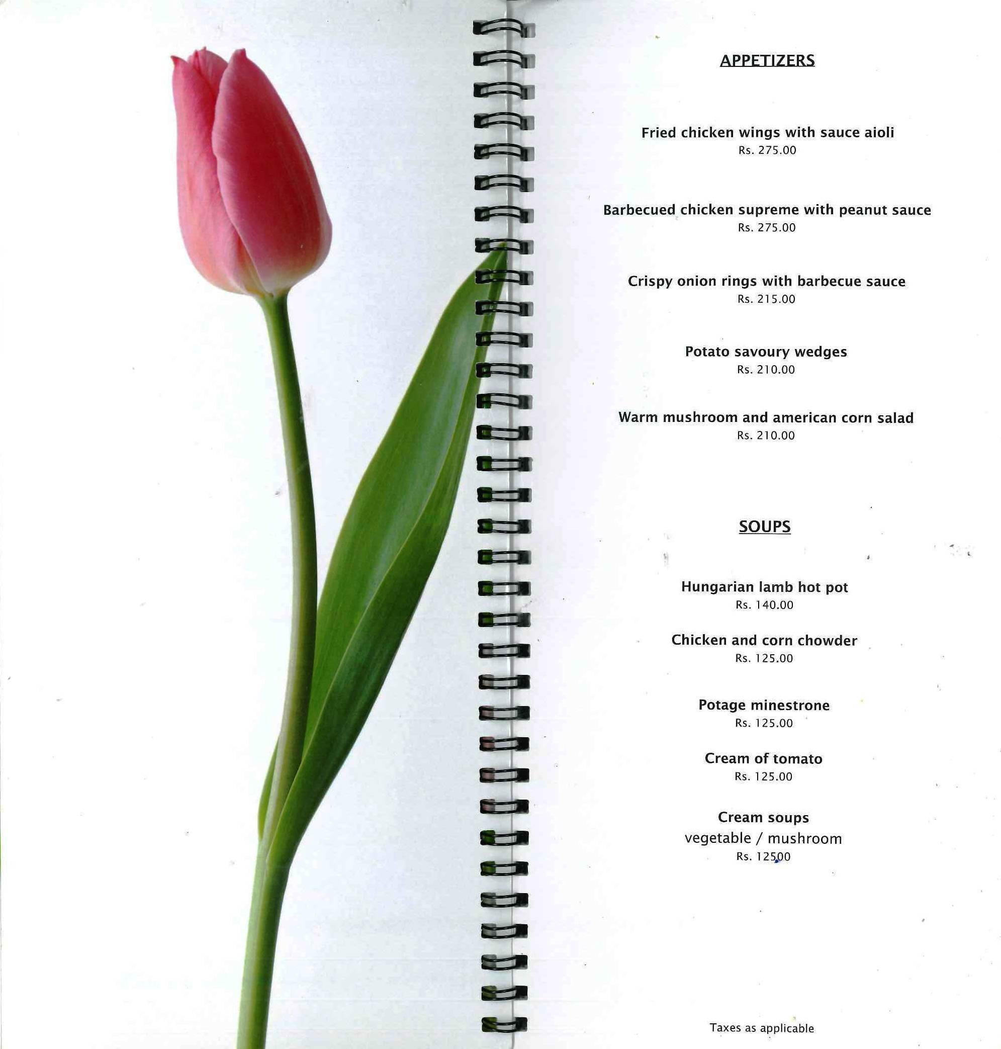 Tulips - Begumpet - Hyderabad image 16