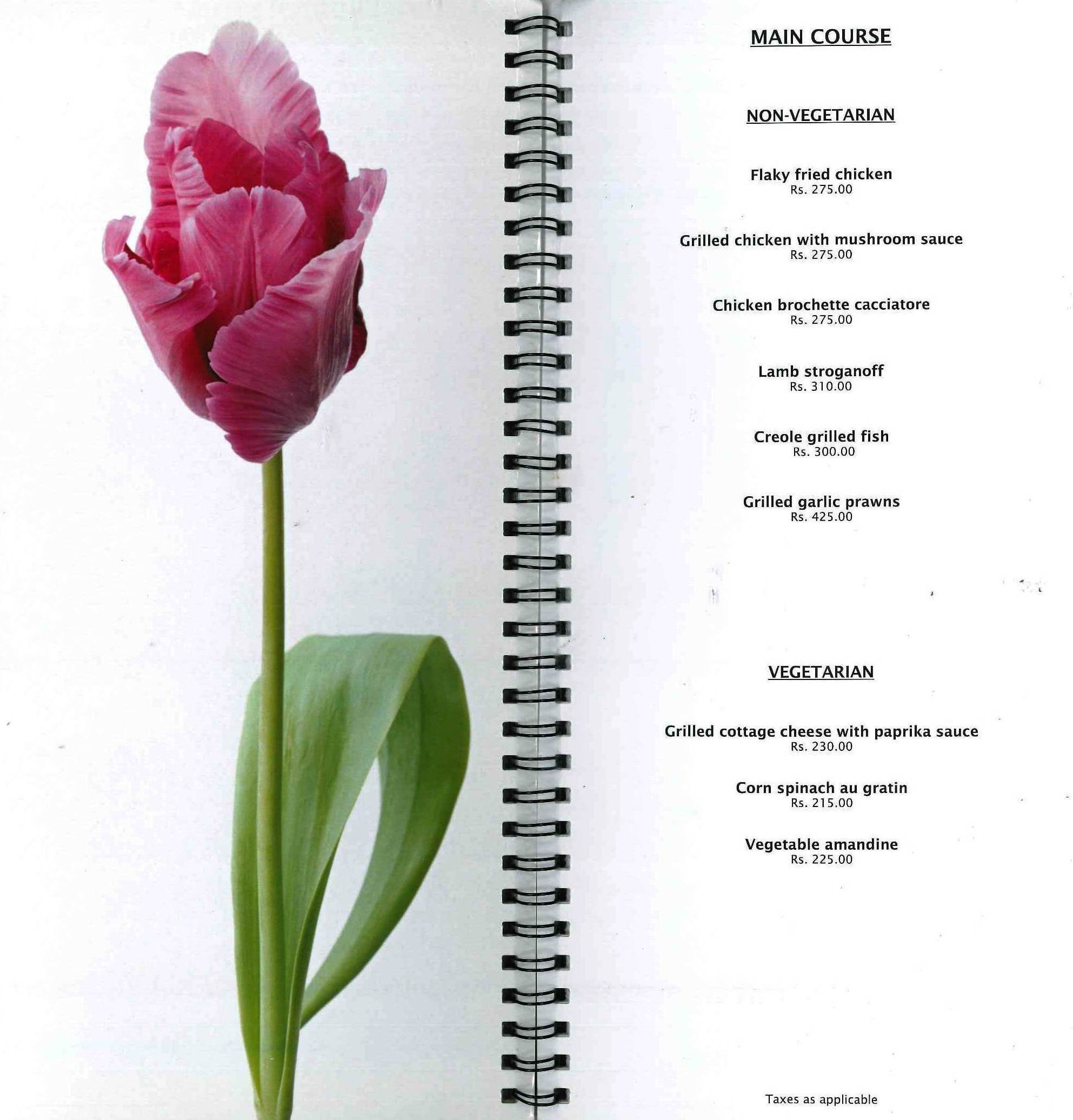 Tulips - Begumpet - Hyderabad image 15