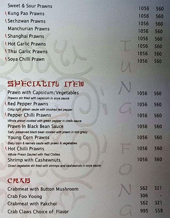 Tung Fung Restaurant - Park Street - Kolkata image 9