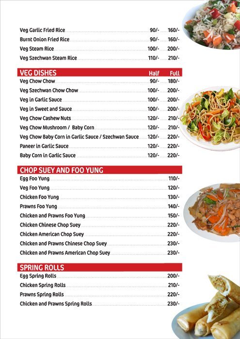 Tung Kein Chinese Food - Somajiguda - Hyderabad image 6