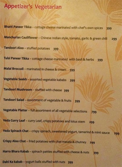 Veda Restaurant - Connaught Place - Delhi NCR image 10