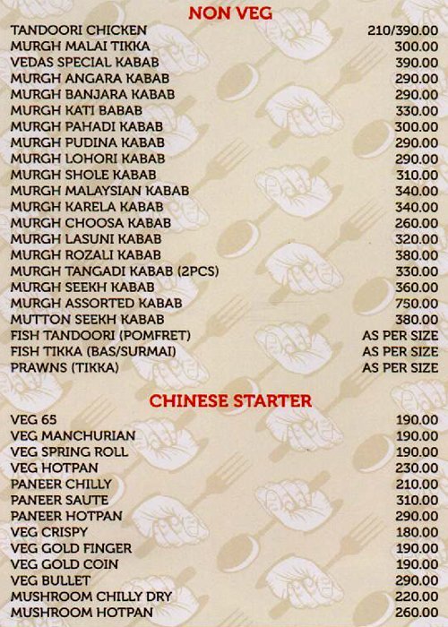 Vedas - Akurdi - Pune image 3