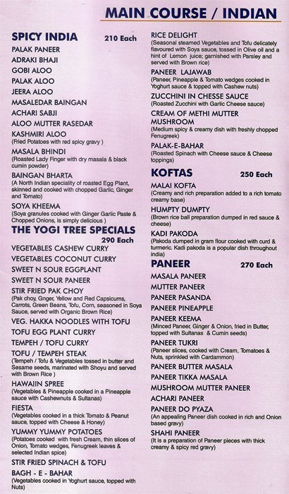 Yogi Tree Restaurant & Cafe - Koregaon Park - Pune image 5
