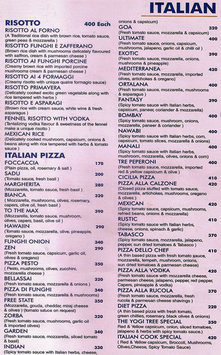 Yogi Tree Restaurant & Cafe - Koregaon Park - Pune image 3