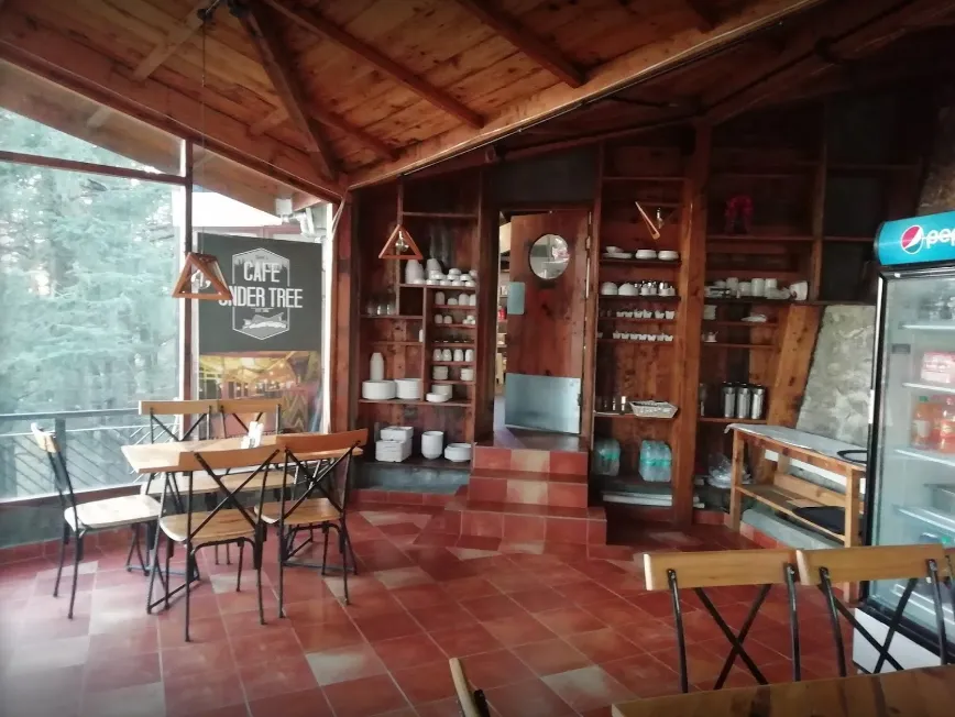 Cafe Under Tree - Longwood - Shimla Photo1