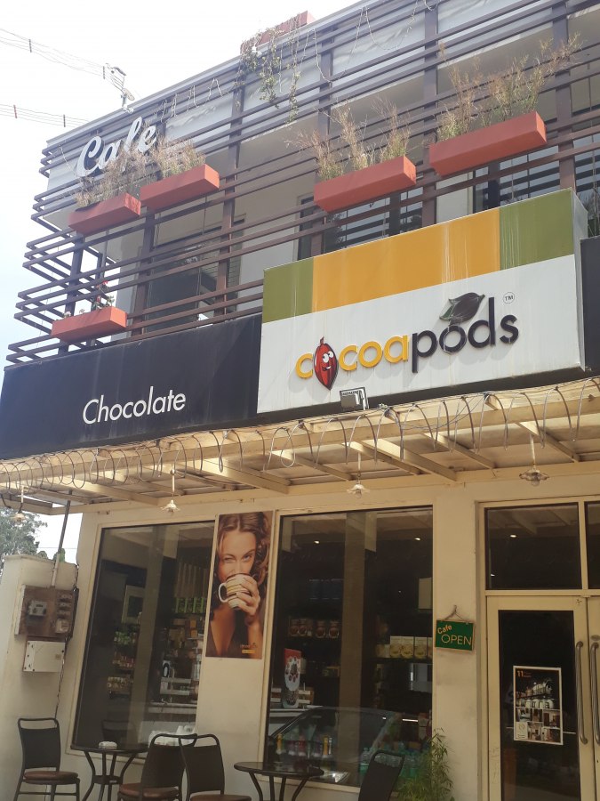 Cocoapods, Kandal, Ooty Photo1