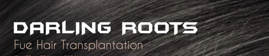 Darling Roots - Hyderabd Photo1