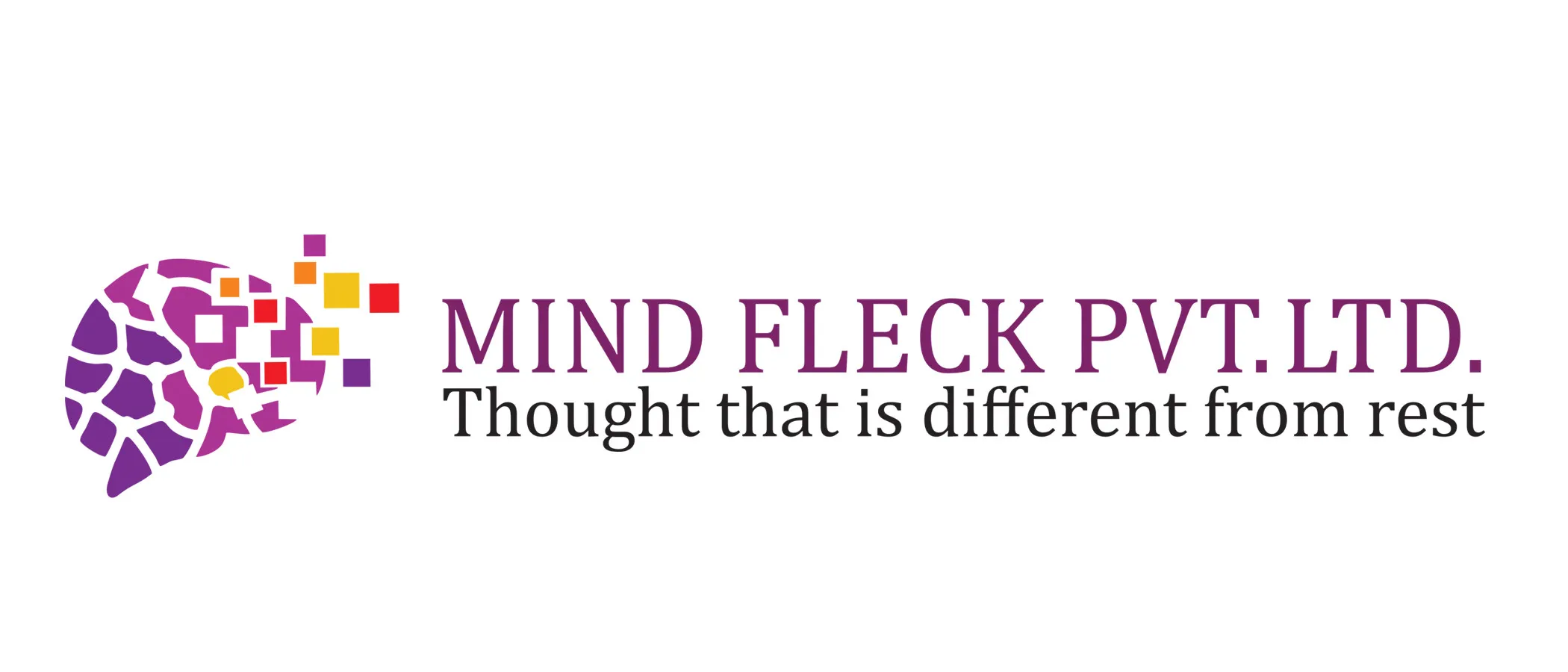 Mind Fleck Photo1