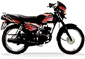 TVS Suzuki Shogun Image