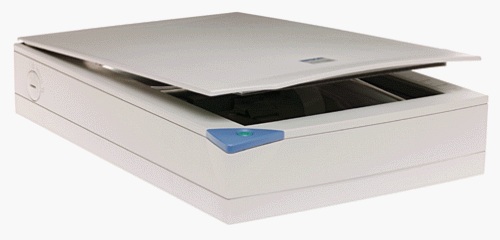 Epson Perfection 610 Image