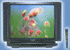Thomson-29FUS+ Image
