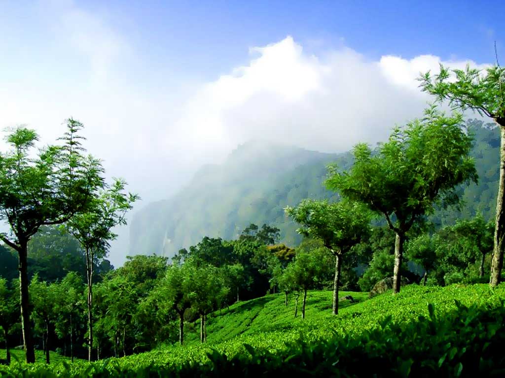 Coonoor Image