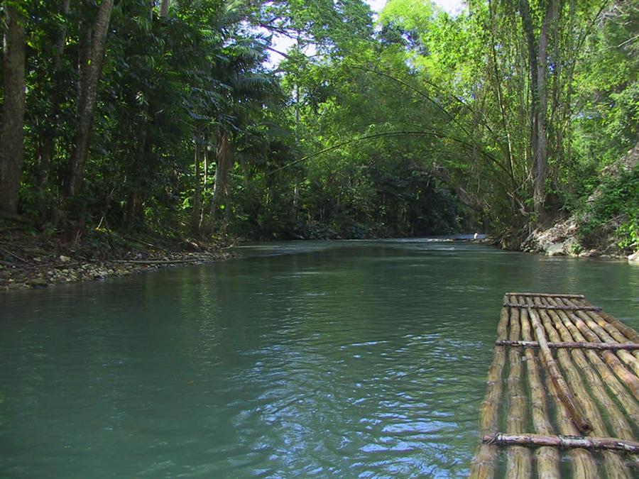 Periyar Wildlife Sanctuary Image