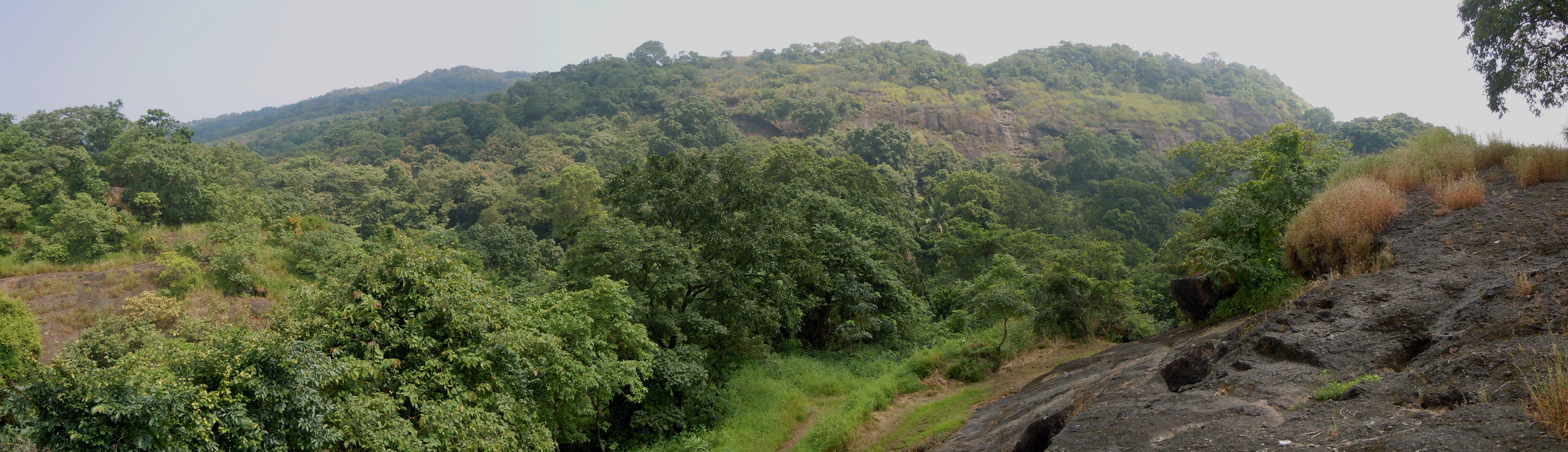 Sanjay Gandhi National Park - Mumbai Image