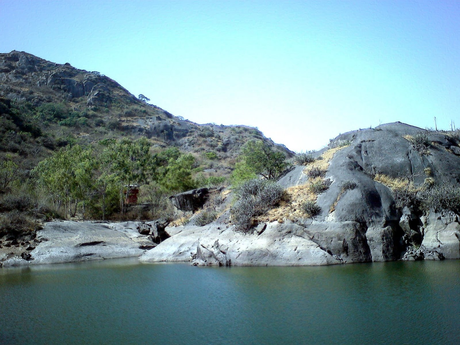 Mount Abu Sanctuary Image