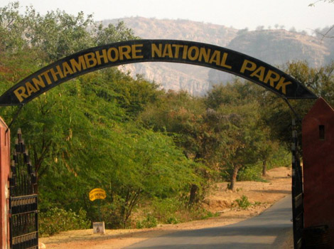 Ranthambore National Park - Sawai Madhopur Image