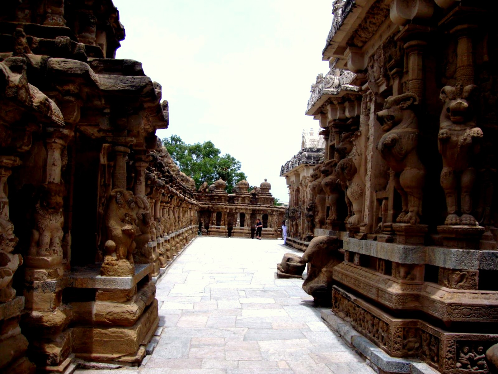 Kanchipuram Image