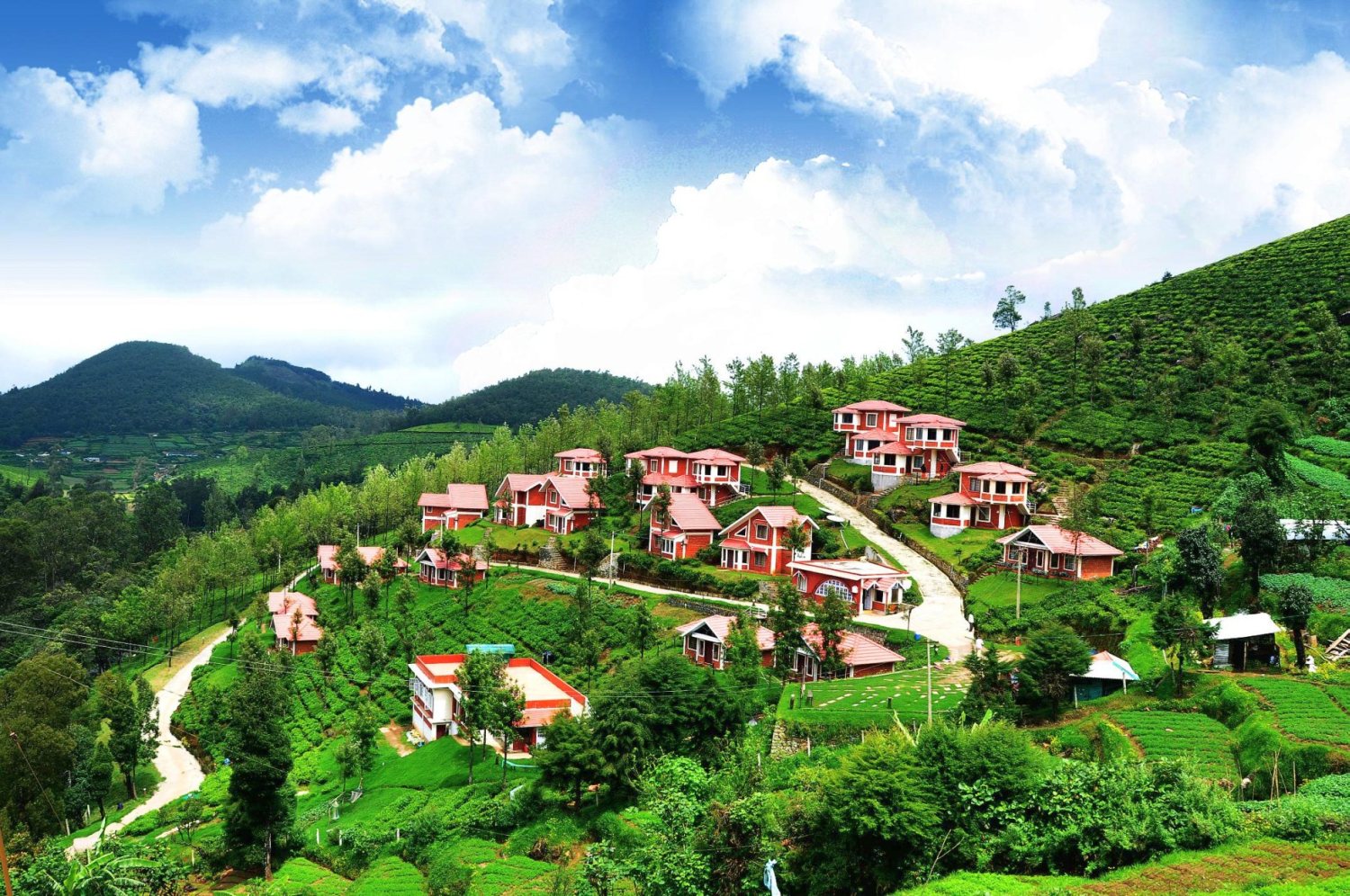 Ooty Image