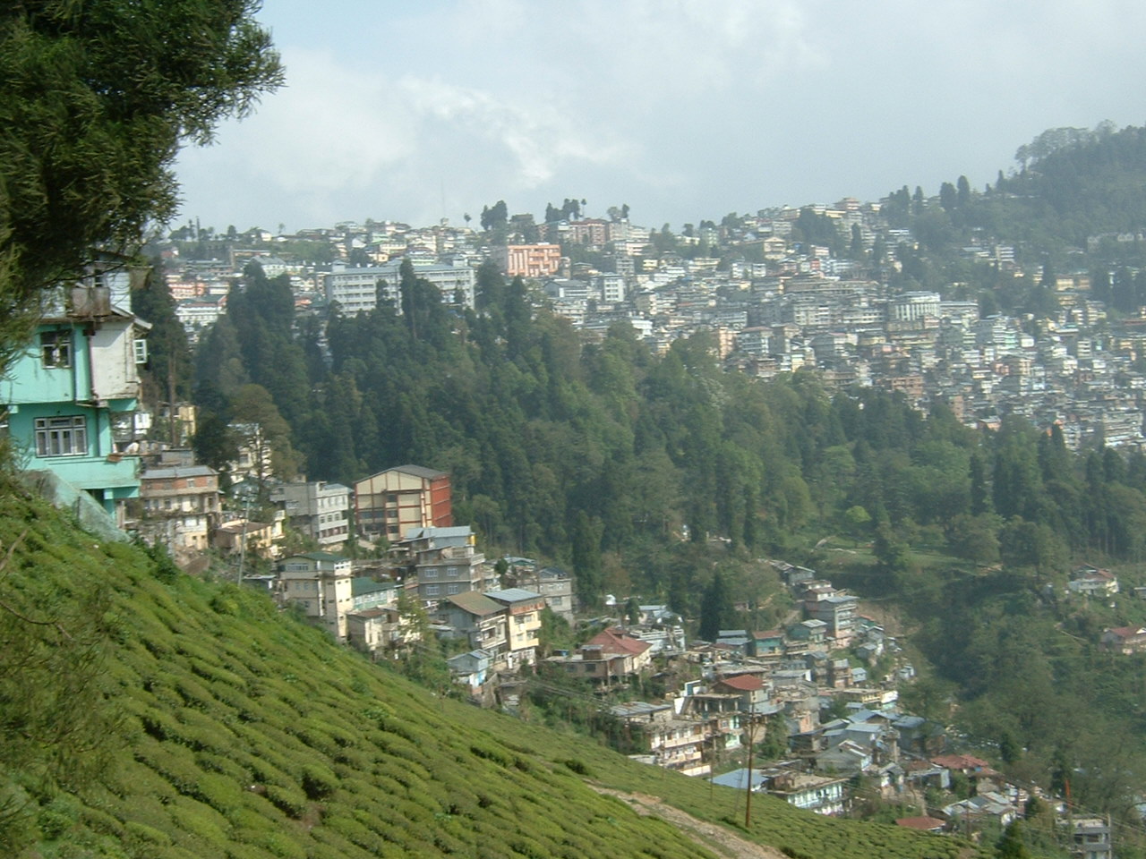 Kalimpong Image