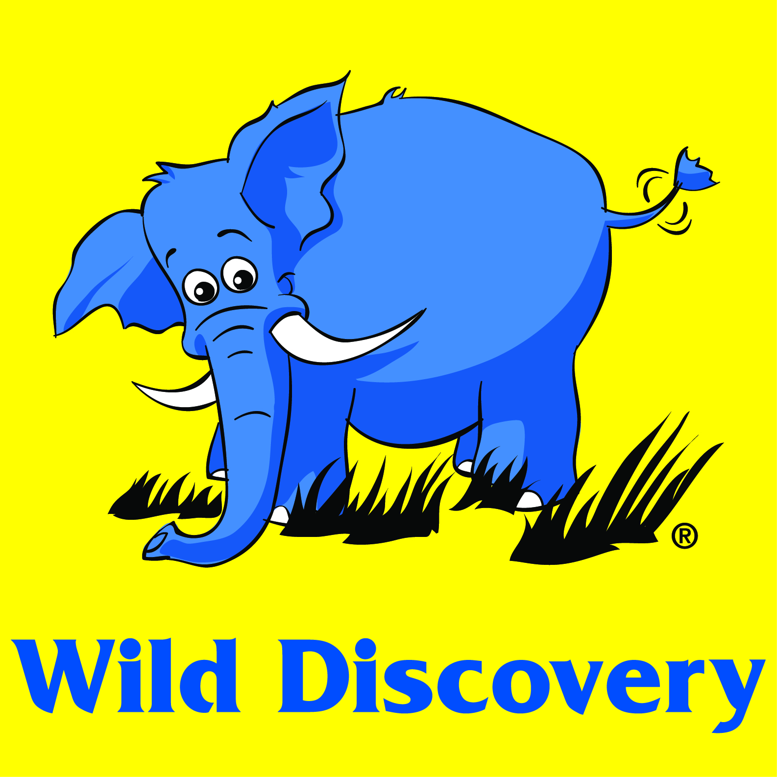 Wild Discovery Image