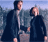 The X-Files Image