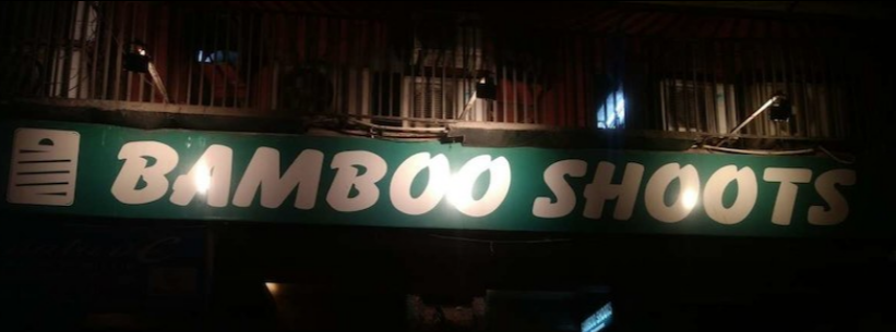 Bamboo Shoots - Noida - Delhi NCR Image