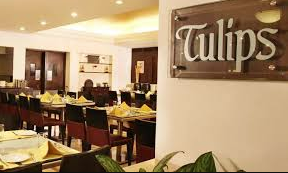 Tulips - Begumpet - Hyderabad Image