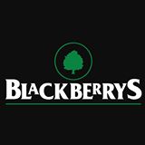 Blackberrys Image