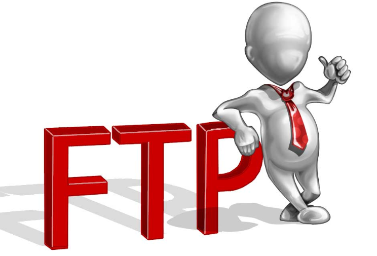 3D-FTP Image