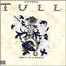 Crest of a Knave - Jethro Tull Image