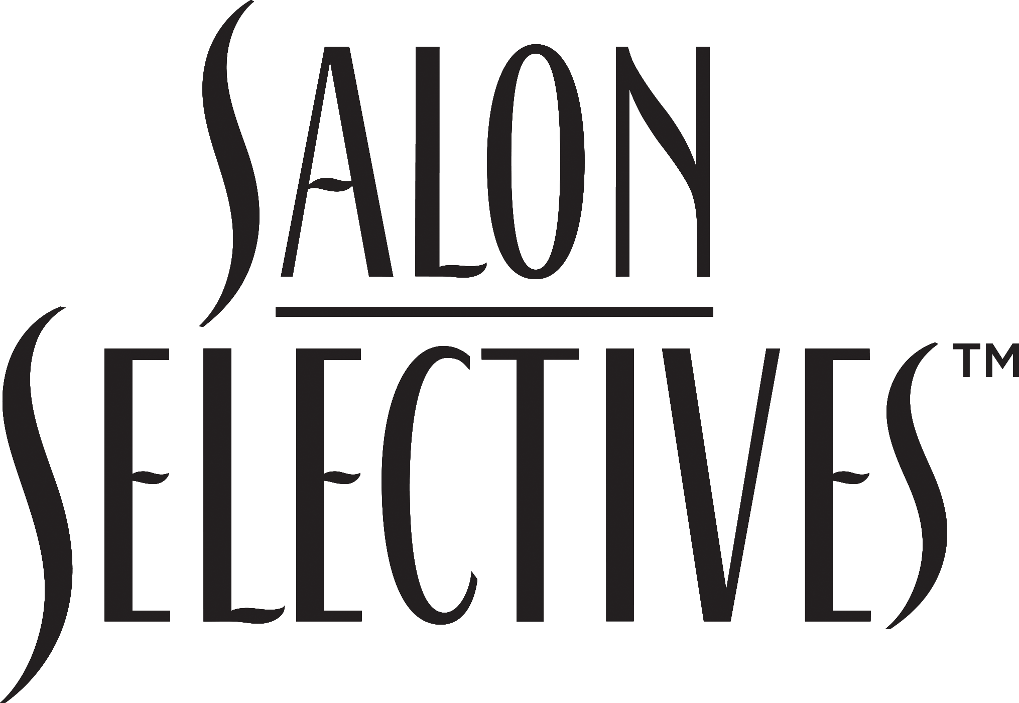 Salon Selectives Mousse Image