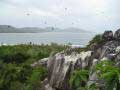 Cousin Island Image