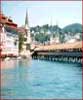 Lucerne Image