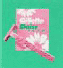 Gillette Daisy Image