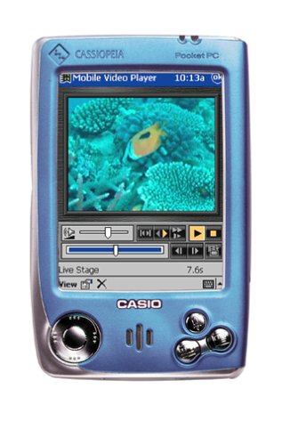 Casio Cassiopeia EM500 Image